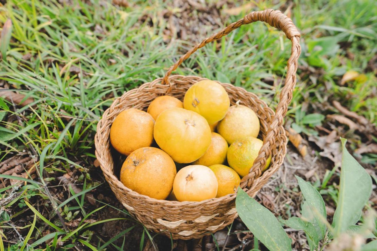 Piripe Wellness Lodge Pacto エクステリア 写真
