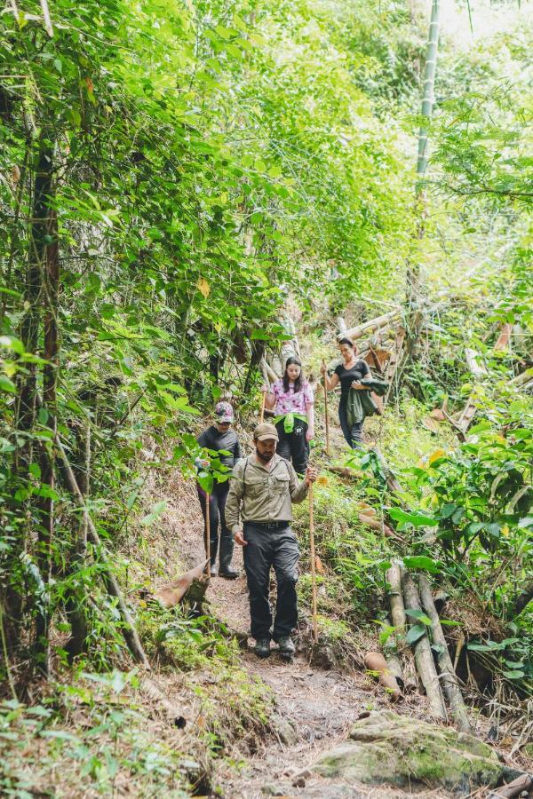 Piripe Wellness Lodge Pacto エクステリア 写真