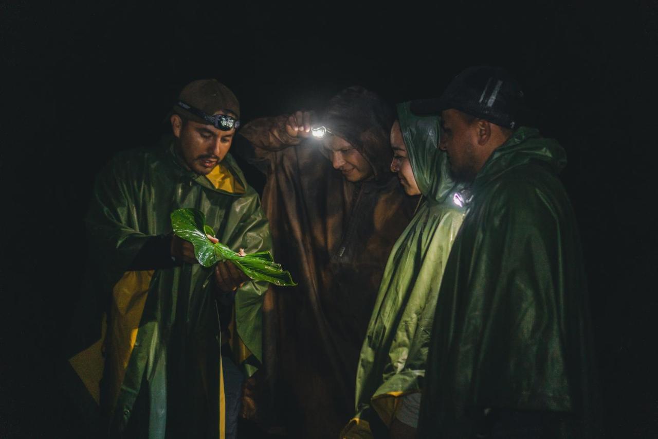 Piripe Wellness Lodge Pacto エクステリア 写真